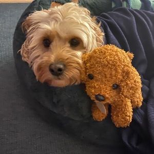 Meet your Posher, Melinda